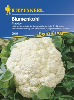 Blumenkohl Clapton F1 | Blumenkohlsamen Von Kiepenkerl
