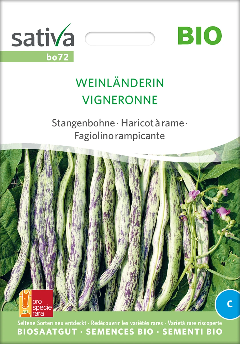 Stangenbohne Weinländerin | BIO Stangenbohnensamen Von Sativa Rheinau 2 Stangenbohne Weinländerin | BIO Stangenbohnensamen Von Sativa Rheinau – Bild 2