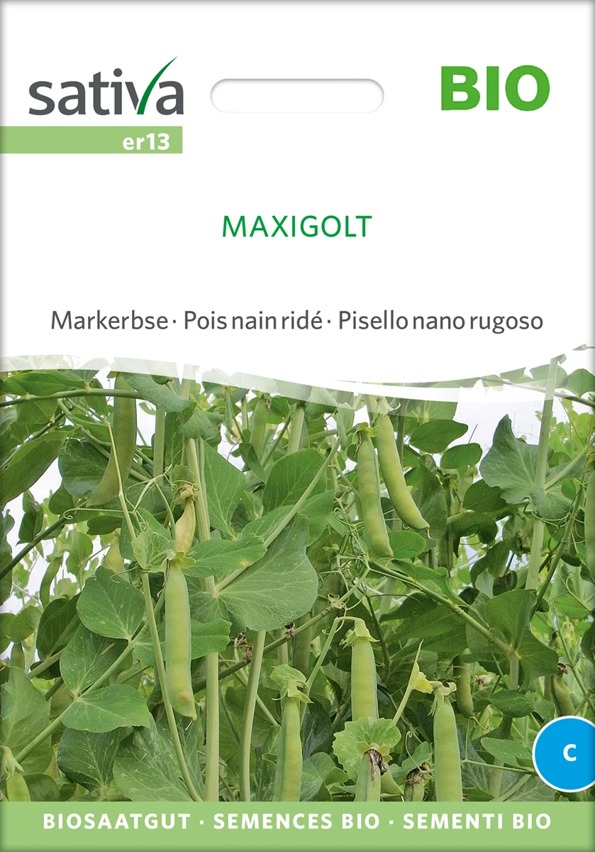 Markerbse Maxigolt | BIO Markerbsensamen Von Sativa Rheinau 1 Markerbse Maxigolt | BIO Markerbsensamen Von Sativa Rheinau