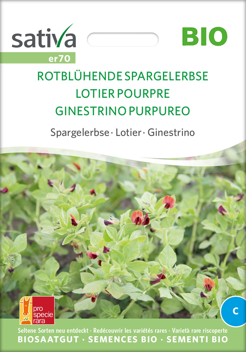 Spargelerbse Rotblühende Spargelerbse | BIO Erbsensamen Von Sativa Rheinau 1 Spargelerbse Rotblühende Spargelerbse | BIO Erbsensamen Von Sativa Rheinau