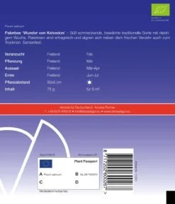 Wunder Von Kelvedon | BIO Erbsensamen Von De Bolster