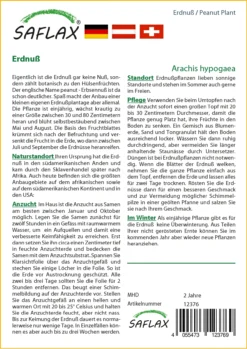 Erdnuß | Erdnusssamen Von Saflax