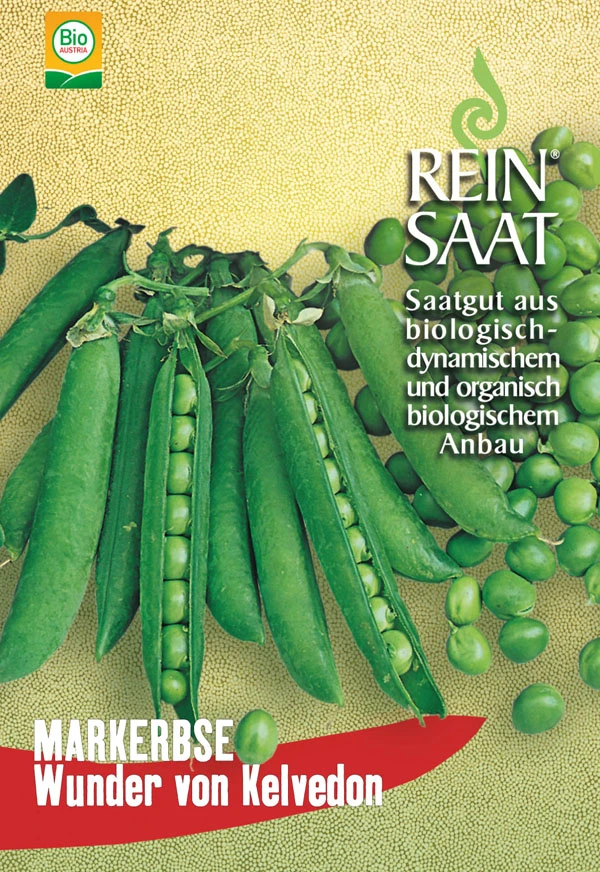 Markerbse Wunder V. Kelvedon | BIO Markerbsensamen Von Reinsaat 2 Markerbse Wunder V. Kelvedon | BIO Markerbsensamen Von Reinsaat – Bild 2