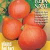 Kürbis Red Kuri | BIO Kürbissamen Von Reinsaat