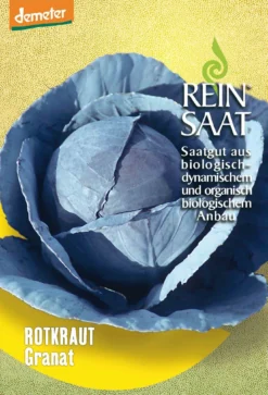 Rotkraut Granat | BIO Rotkohlsamen Von Reinsaat
