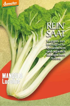 Mangold Lucullus | BIO Mangoldsamen Von Reinsaat
