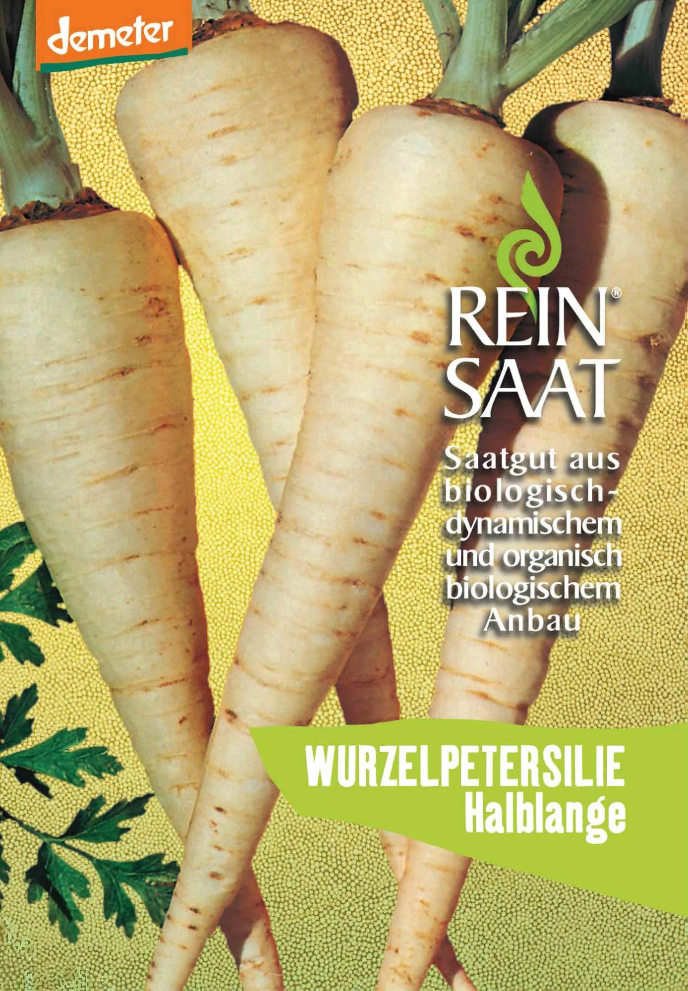 Petersilienwurzel Halblange | BIO Petersilienwurzelsamen Von Reinsaat 1 Petersilienwurzel Halblange | BIO Petersilienwurzelsamen Von Reinsaat