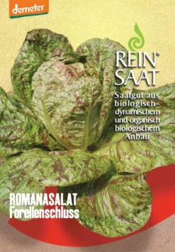 Romanasalat Forellenschluss | BIO Romanasalatsamen Von Reinsaat