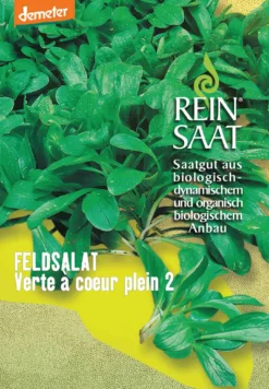 Feldsalat Verte à Coeur Plein 2 | BIO Feldsalatsamen Von Reinsaat