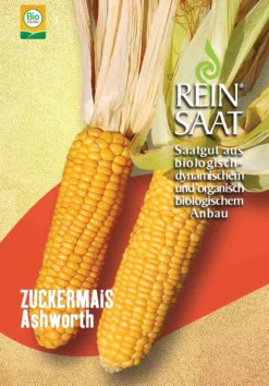 Zuckermais Ashworth | BIO Maissamen Von Reinsaat