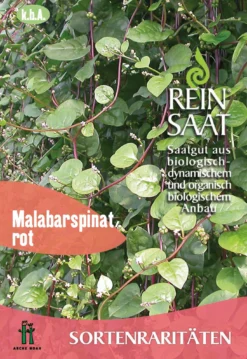 Malabarspinat | BIO Spinatsamen Von Reinsaat