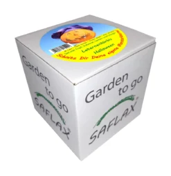 Jack O'Lantern Halloween Kürbis | Kürbissamen Von Saflax [MHD 09/2023] -Indoor Gärtnern Verkaufe 536696 Laternenkuerbis 19229 sa 0