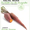 Karotte Purple Dragon | BIO Karottensamen Von Arche Noah