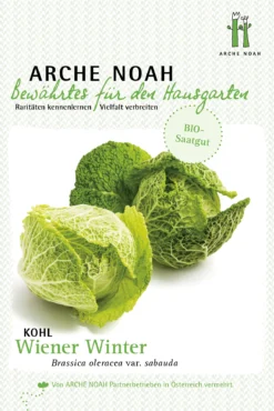 Kohl Wiener Winter | BIO Kohlsamen Von Arche Noah