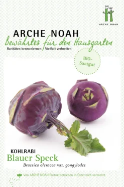Kohlrabi Blauer Speck | BIO Kohlrabisamen Von Arche Noah