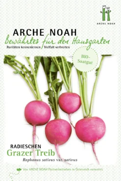 Radieschen Grazer Treib | BIO Radieschensamen Von Arche Noah