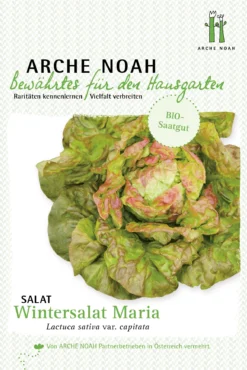 Salat Wintermarie | BIO Salatsamen Von Arche Noah