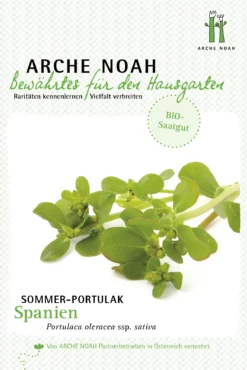 Sommerportulak Spanien | BIO Portulaksamen Von Arche Noah