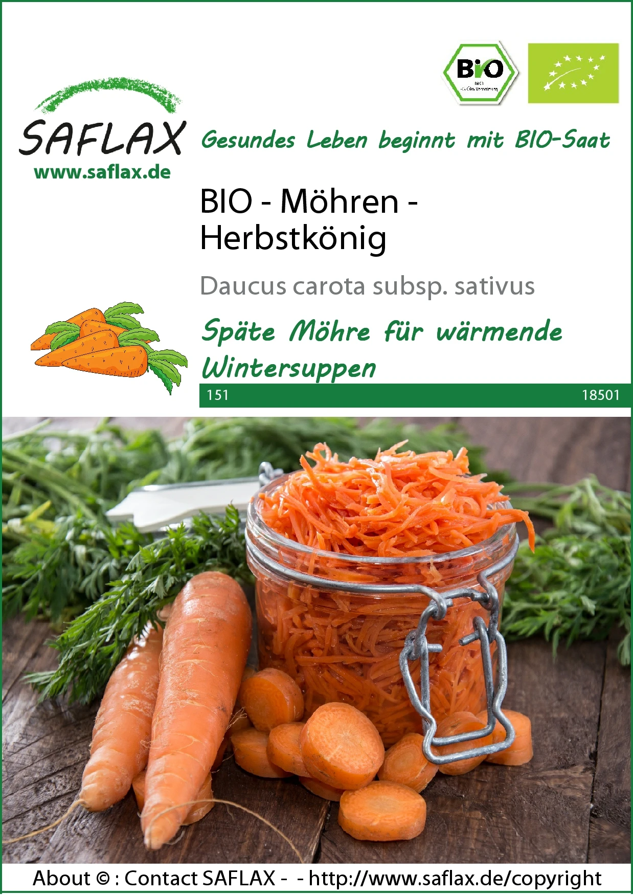 Möhre Herbstkönig | BIO Möhrensamen Von Saflax 2 Möhre Herbstkönig | BIO Möhrensamen Von Saflax – Bild 2