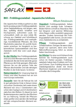 Frühlingszwiebel Japanische Ishikura | BIO Zwiebelsamen Von Saflax