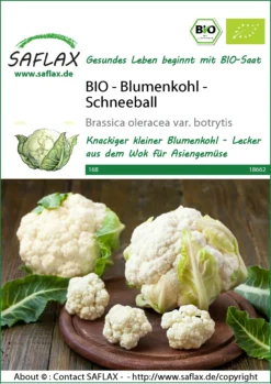 Blumenkohl Schneeball | BIO Blumenkohlsamen Von Saflax