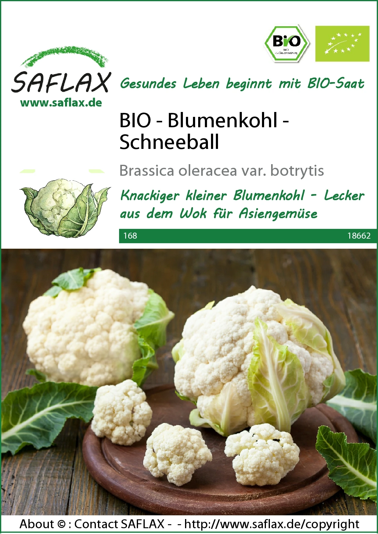Blumenkohl Schneeball | BIO Blumenkohlsamen Von Saflax 1 Blumenkohl Schneeball | BIO Blumenkohlsamen Von Saflax