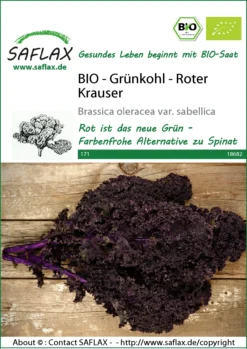 Grünkohl Roter Krauser | BIO Grünkohlsamen Von Saflax