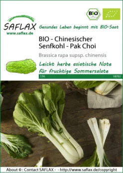 Chinesischer Senfkohl Pak Choi | Pak Choisamen Von Saflax