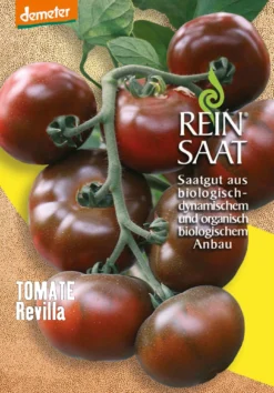 Tomate Revilla | BIO Tomatensamen Von Reinsaat
