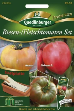 Riesen-/ Fleischtomaten Set (Saatplatte) | Tomatensamen Von Quedlinburger