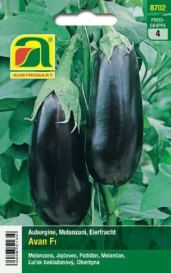 Aubergine Teti F1 | Auberginensamen Von Austrosaat