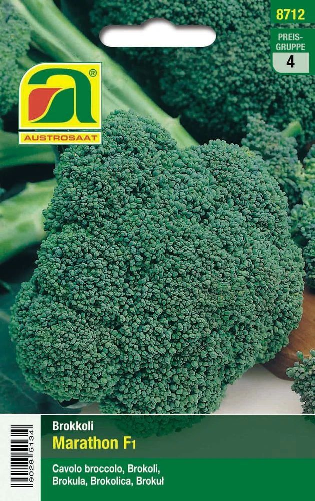 Brokkoli Marathon F1 | Brokkolisamen Von Austrosaat 1 Brokkoli Marathon F1 | Brokkolisamen Von Austrosaat