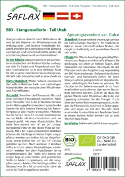 Stangensellerie Tall Utah | BIO Stangenselleriesamen Von Saflax