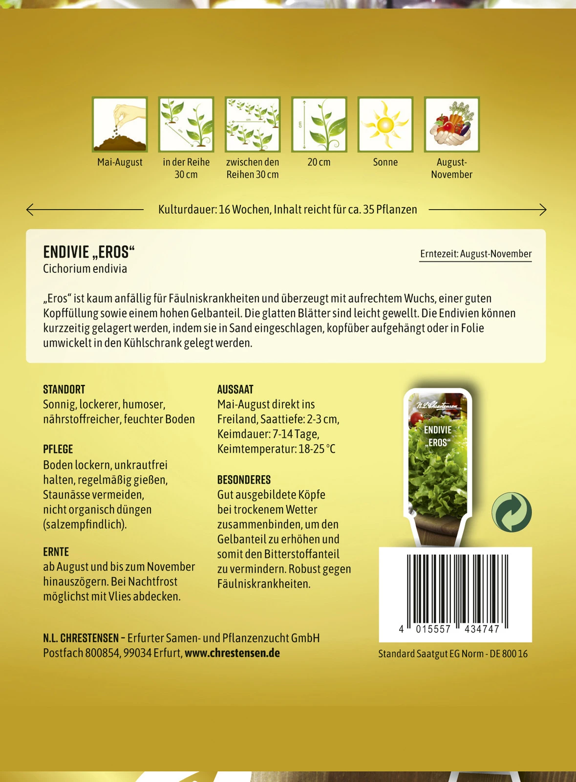 Endivie Eros | Endiviensalatsamen Von N.L. Chrestensen 2 Endivie Eros | Endiviensalatsamen Von N.L. Chrestensen – Bild 2