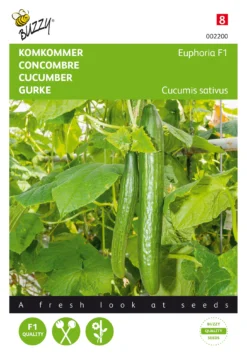 Gurke Euphoria F1 | Gurkensamen Von Buzzy Seeds [MHD 07/2024]