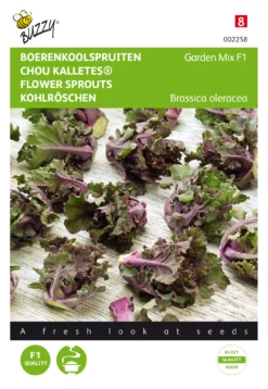 Rosenkohl Kalettes Garden Mix F1 | Rosenkohlsamen Von Buzzy Seeds
