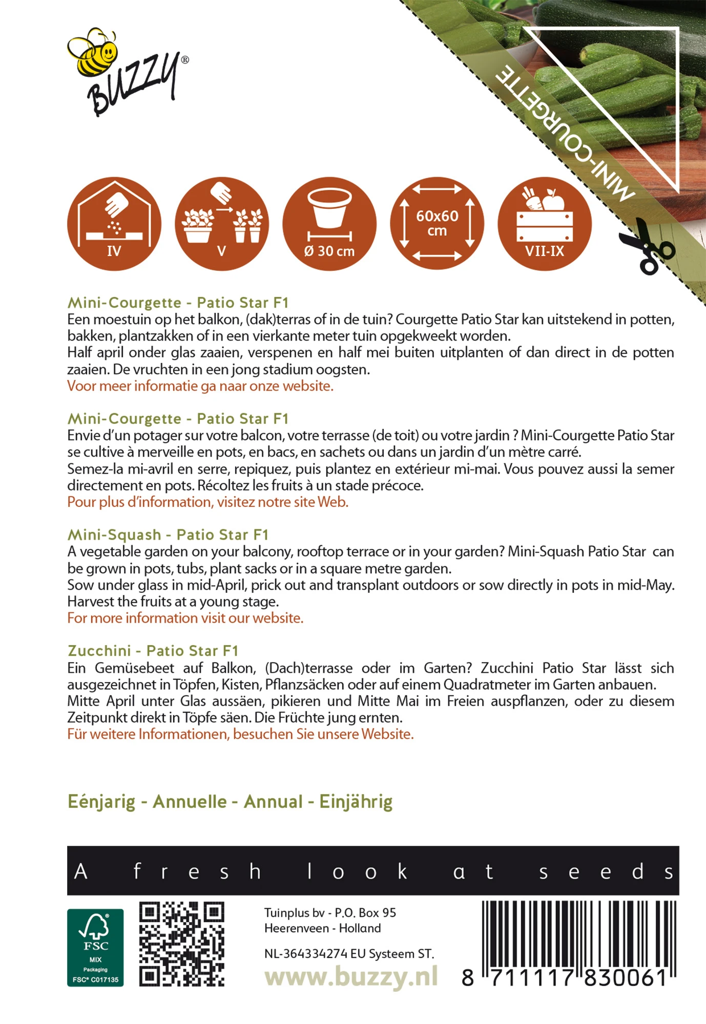 Zucchini Patio Star F1 | Zucchinisamen Von Buzzy Seeds 2 Zucchini Patio Star F1 | Zucchinisamen Von Buzzy Seeds – Bild 2