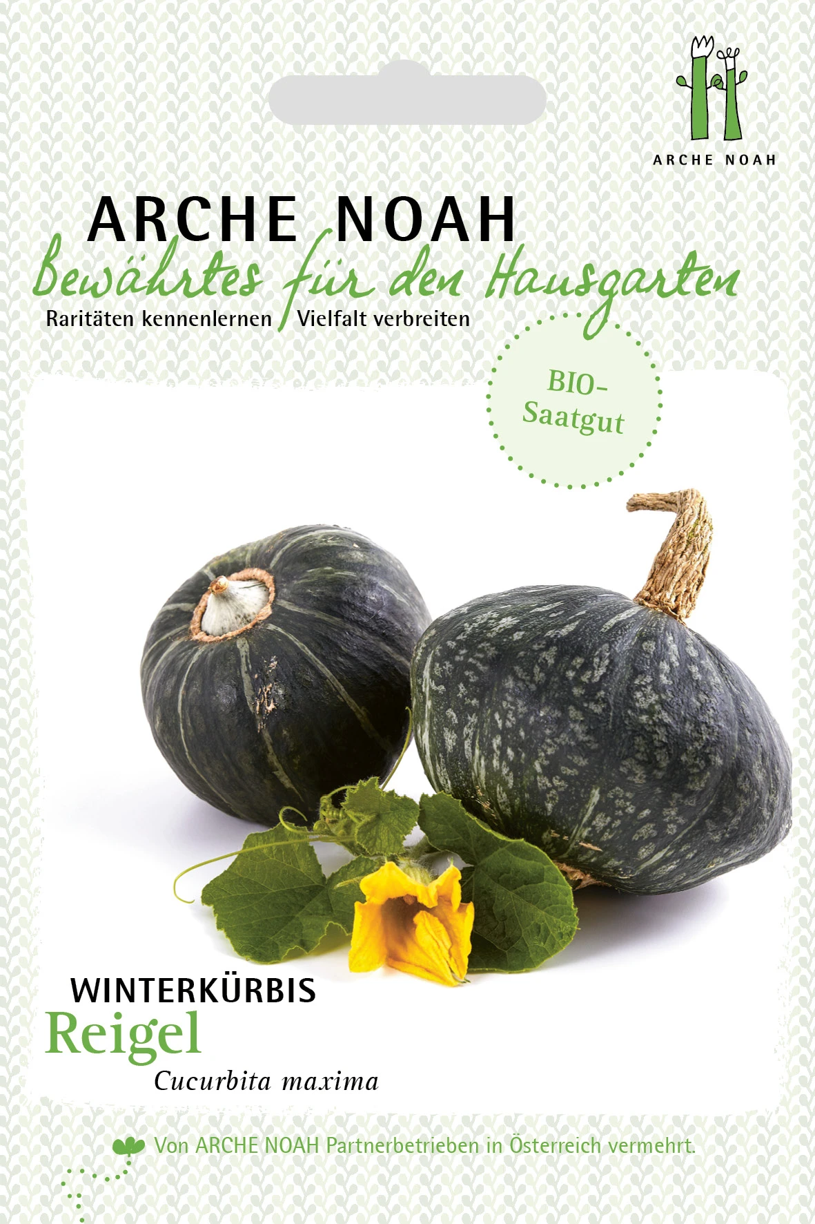 Winterkürbis Reigel | BIO Kürbissamen Von Arche Noah 1 Winterkürbis Reigel | BIO Kürbissamen Von Arche Noah