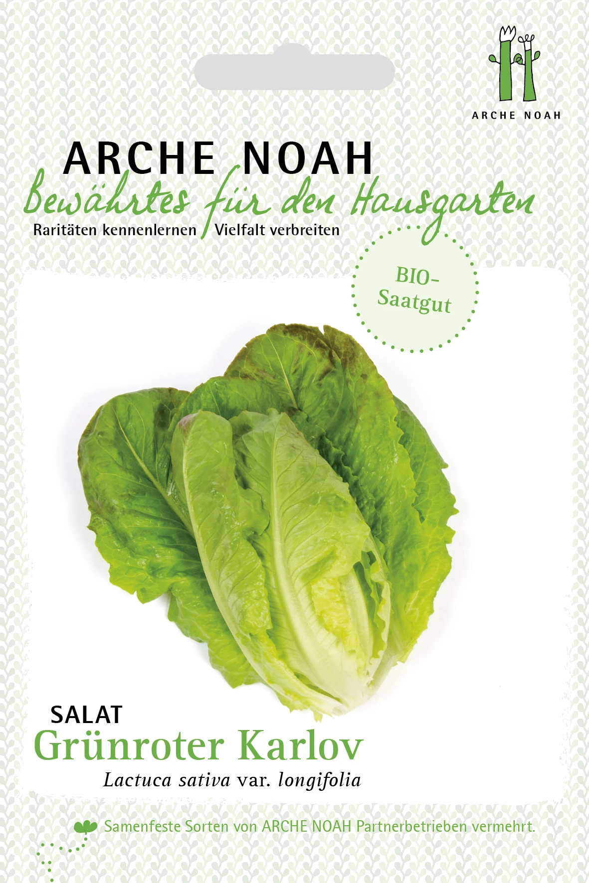 Salat Grünroter Karlov | BIO Salatsamen Von Arche Noah 1 Salat Grünroter Karlov | BIO Salatsamen Von Arche Noah
