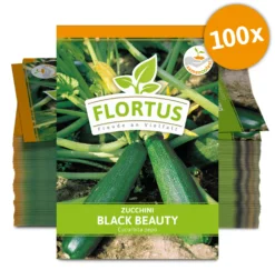 Zucchini Black Beauty (100 Stück) | Zucchinisamen Von FLORTUS -Indoor Gärtnern Verkaufe 549854 Zucchini Black Beauty 100 Stueck 2000 0471 100x 0