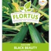 Zucchini Black Beauty (100 Stück) | Zucchinisamen Von FLORTUS