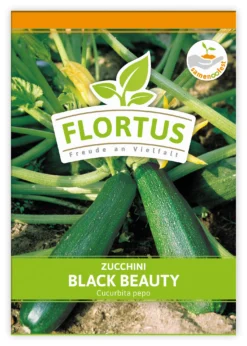 Zucchini Black Beauty (100 Stück) | Zucchinisamen Von FLORTUS