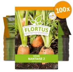 Möhre Nantaise 2 (100 Stück) | Möhrensamen Von FLORTUS -Indoor Gärtnern Verkaufe 549855 Moehre Nantaise 2 100 Stueck 2000 0472 100x 0