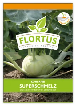 Kohlrabi Superschmelz (100 Stück) | Kohlrabisamen Von FLORTUS -Indoor Gärtnern Verkaufe 549856 Kohlrabi Superschmelz 100 Stueck 2000 0473 100x 1