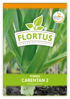Lauch-Porree Carentan 2 (100 Stück) | Lauchsamen Von FLORTUS -Indoor Gärtnern Verkaufe 549857 Lauch Porree Carentan 2 100 Stueck 2000 0474 100x 1