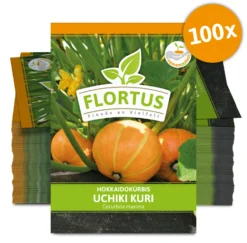 Hokkaidokürbis Uchiki Kuri (100 Stück) | Hokkaidokürbissamen Von FLORTUS -Indoor Gärtnern Verkaufe 549859 Hokkaidokuerbis Uchiki Kuri 100 Stueck 2000 0476 100x 0