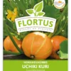 Hokkaidokürbis Uchiki Kuri (100 Stück) | Hokkaidokürbissamen Von FLORTUS