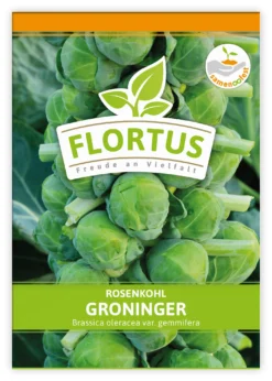 Rosenkohl Groninger (100 Stück) | Rosenkohlsamen Von FLORTUS 5 Rosenkohl Groninger (100 Stück) | Rosenkohlsamen Von FLORTUS -Indoor Gärtnern Verkaufe 549860 Rosenkohl Groninger 100 Stueck 2000 0477 100x 1