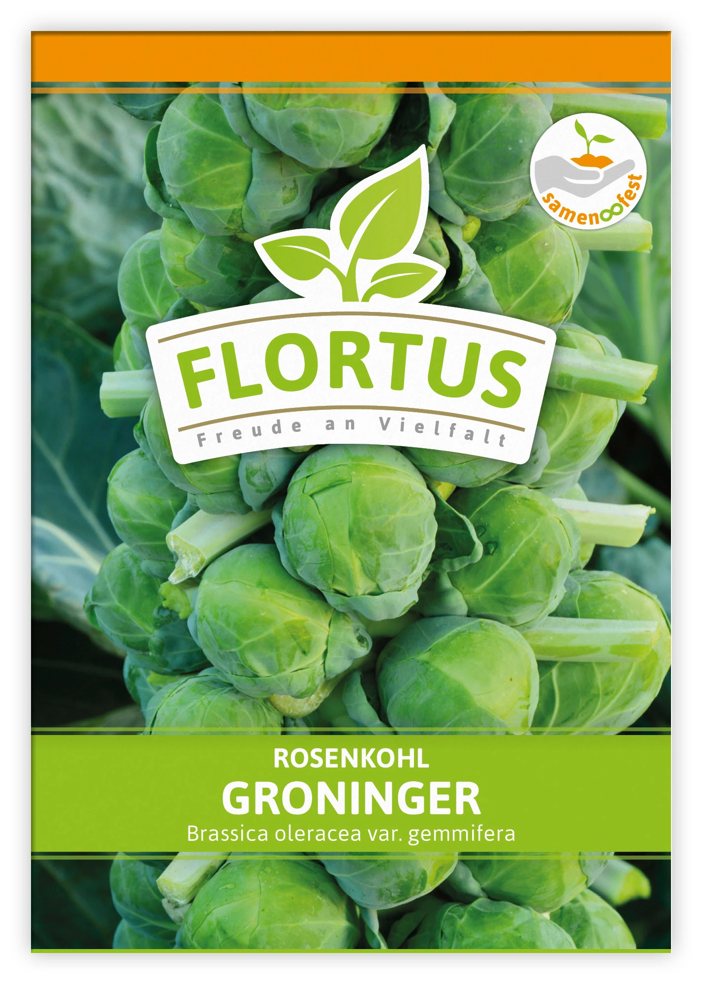 Rosenkohl Groninger (100 Stück) | Rosenkohlsamen Von FLORTUS 3 Rosenkohl Groninger (100 Stück) | Rosenkohlsamen Von FLORTUS – Bild 3