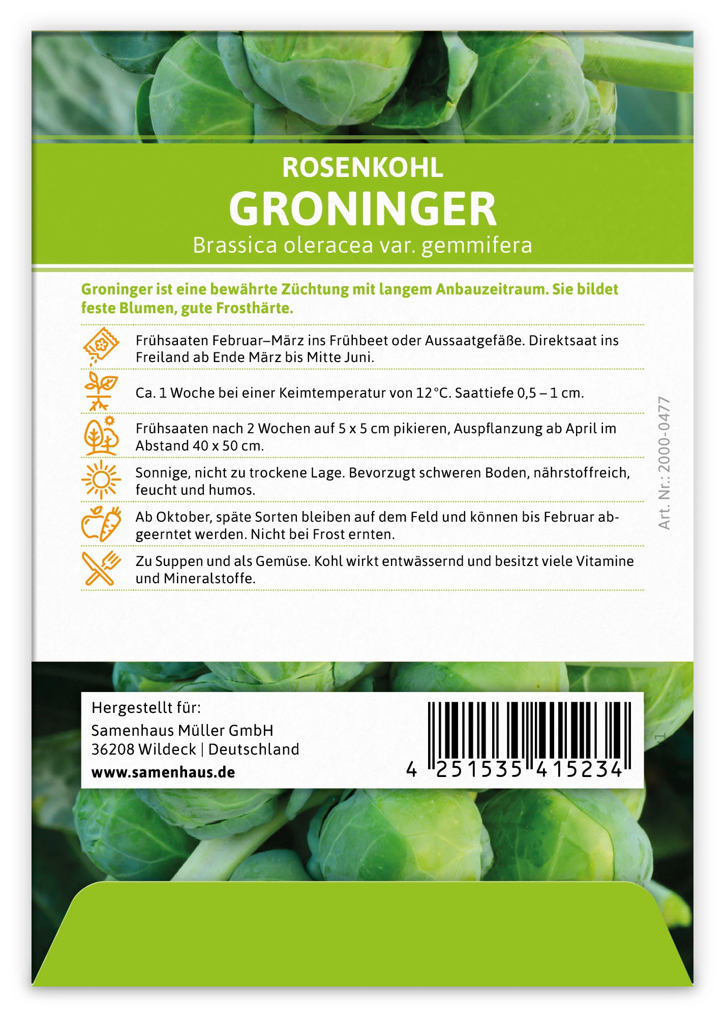 Rosenkohl Groninger (100 Stück) | Rosenkohlsamen Von FLORTUS 2 Rosenkohl Groninger (100 Stück) | Rosenkohlsamen Von FLORTUS – Bild 2